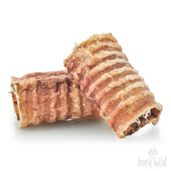 Beef Trachea