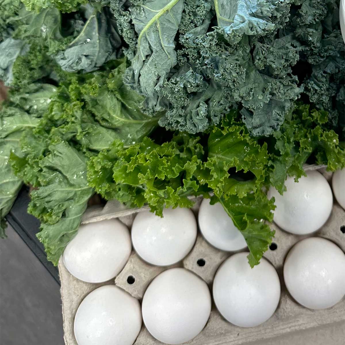 Born Wild Chicken Signature Blend for Dogs