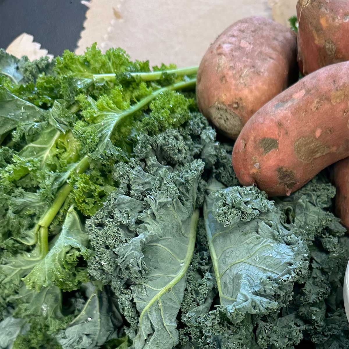 Born Wild Chicken Signature Blend for Dogs