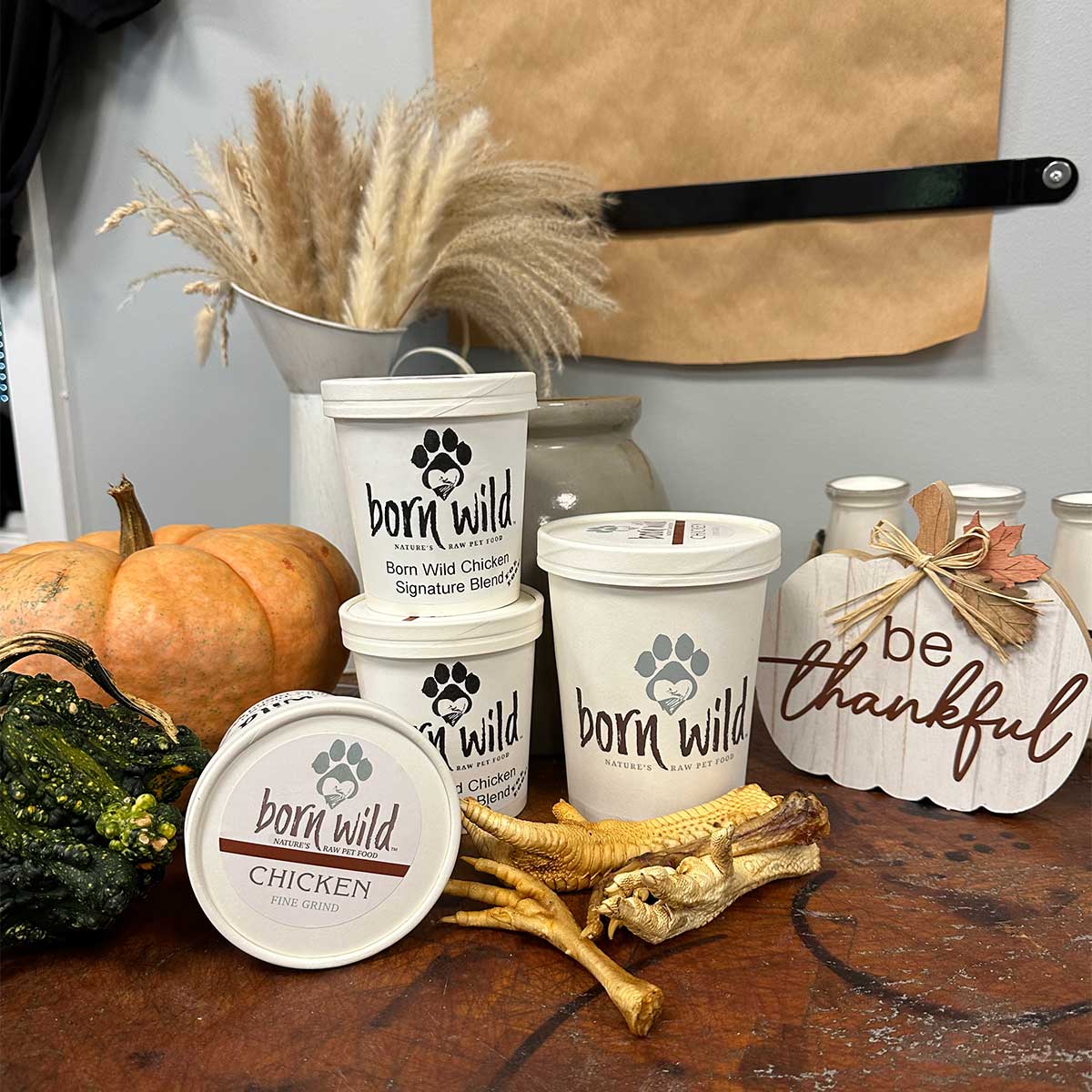 Born Wild Chicken Signature Blend for Dogs