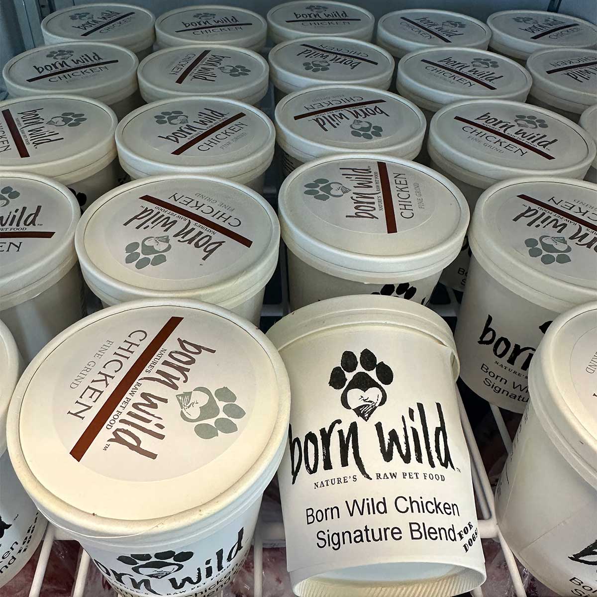 Born Wild Chicken Signature Blend for Dogs