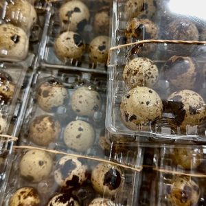 Quail Eggs
