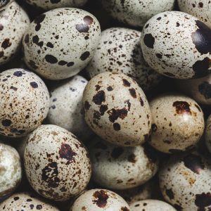 Quail eggs
